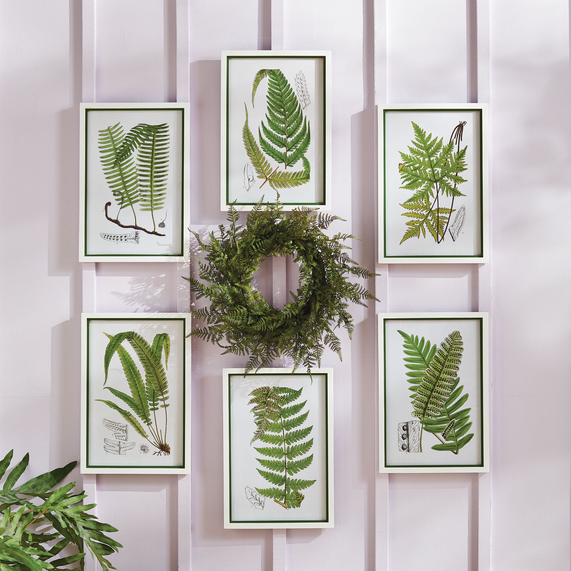 Fern Wreath 18”