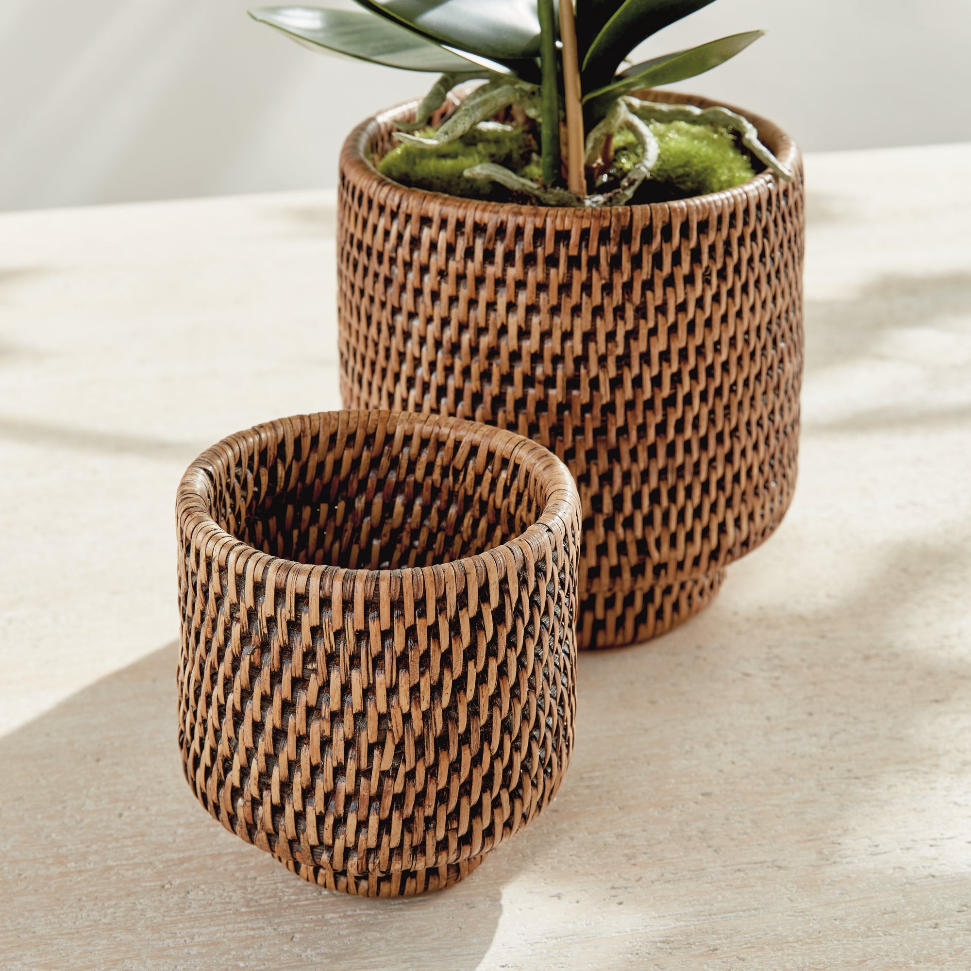 Burma Rattan Cachepots Small, Set Of 2 Brown